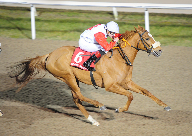 HIGH STREET LADY - Impressive winner over 1m2 ½f at Dundalk